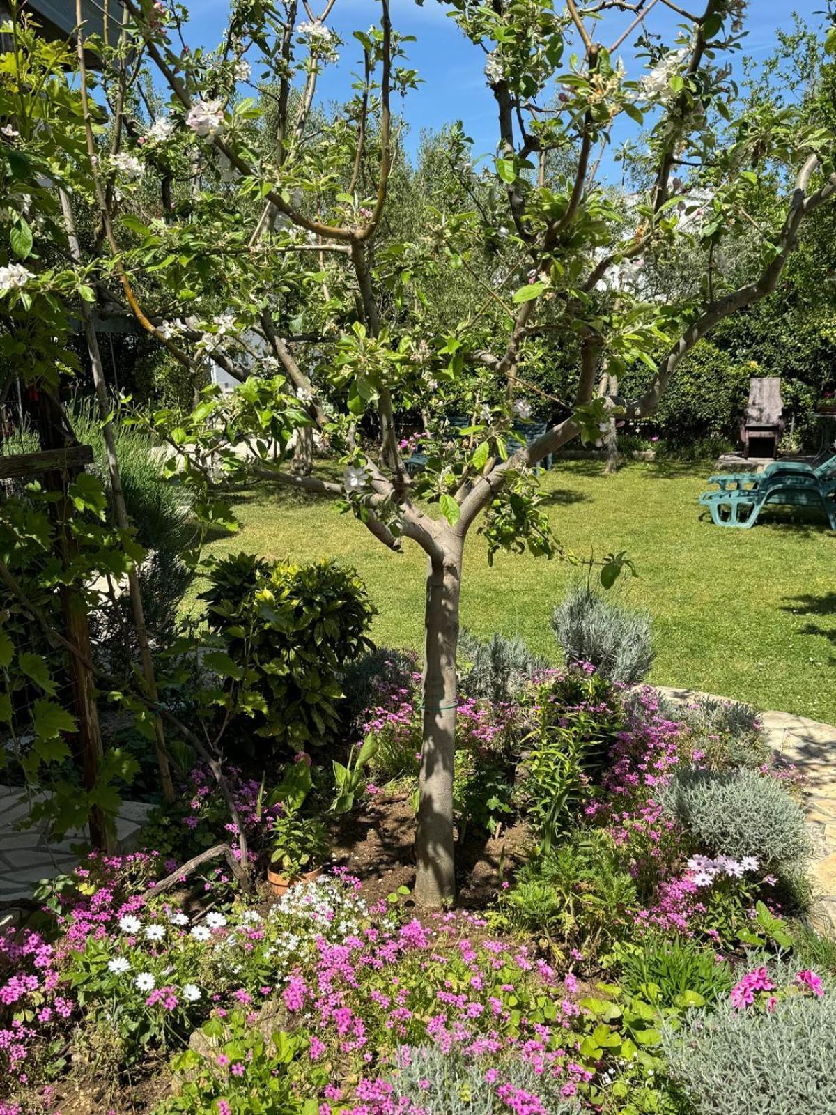 Holiday House K&K ปริฟลากา ภายนอก รูปภาพ